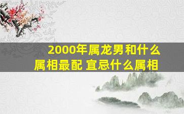 2000年属龙男和什么属相最配 宜忌什么属相